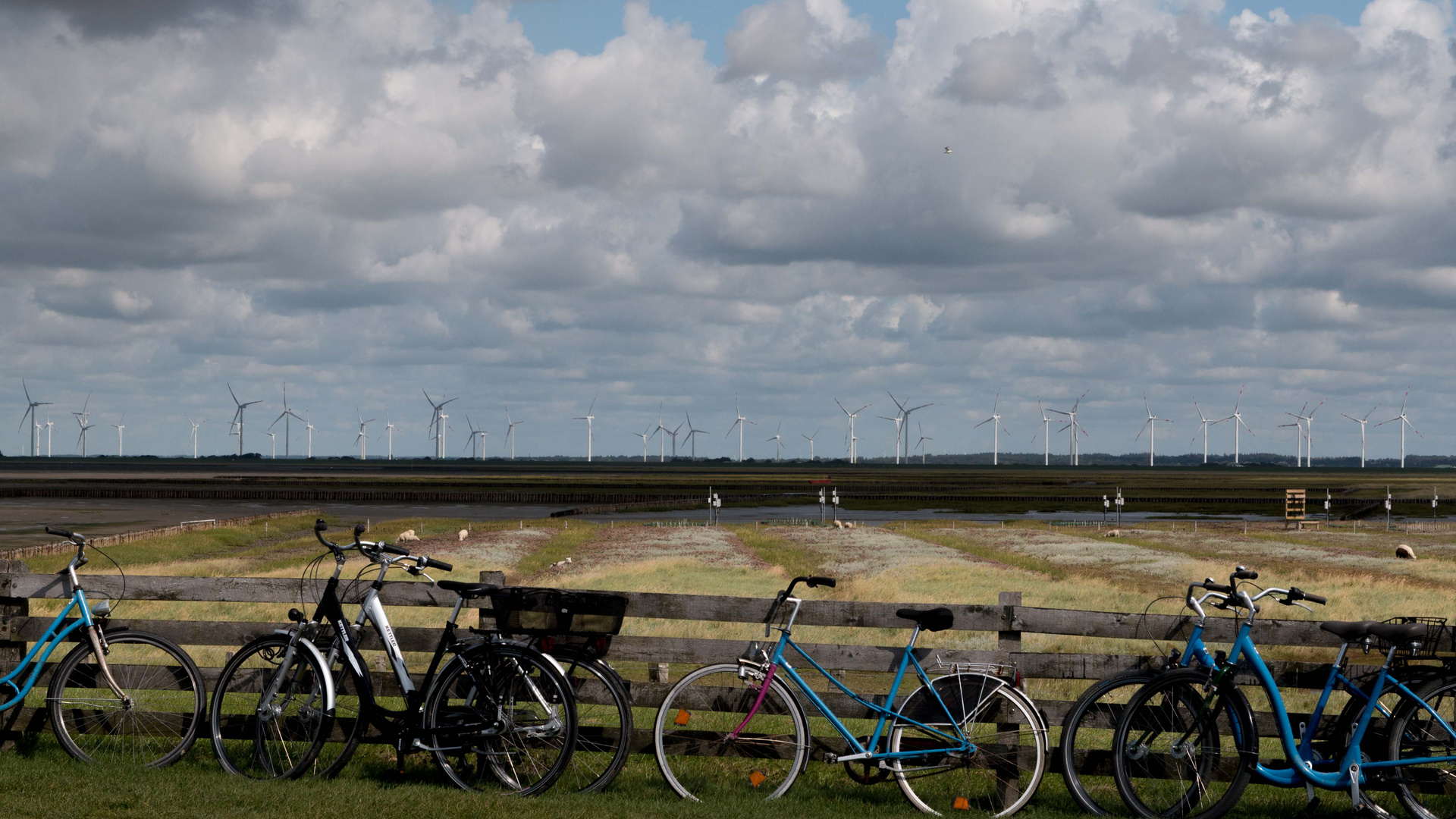 Schleswig-Holstein / NORDSTRAND