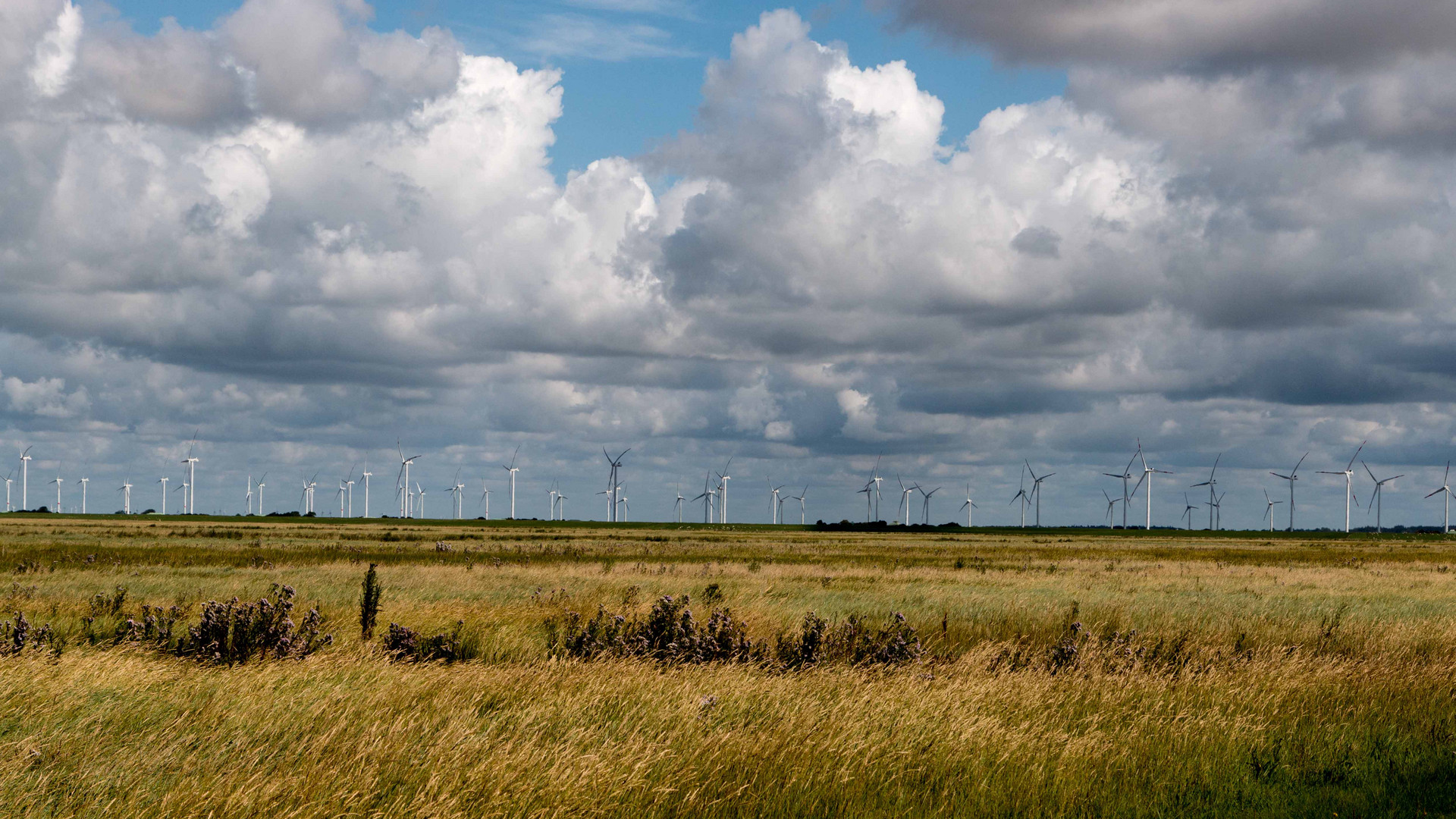 Schleswig-Holstein / NORDSTRAND