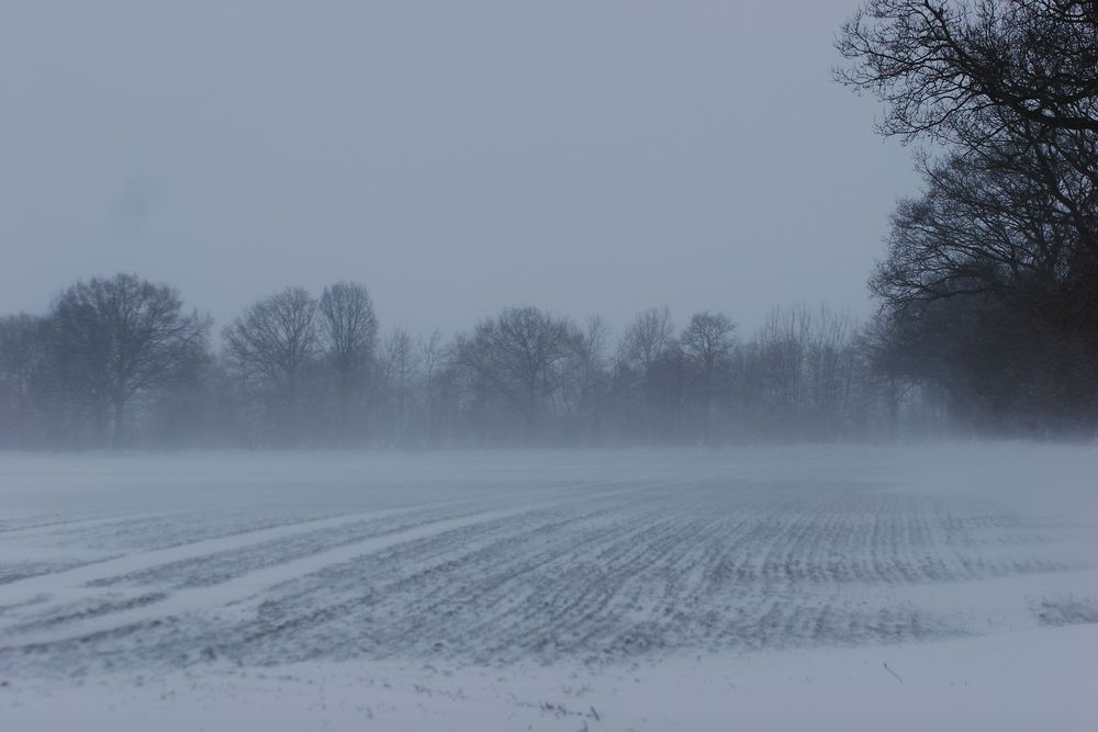 Schleswig Holstein-Winter"wonder"land No.2