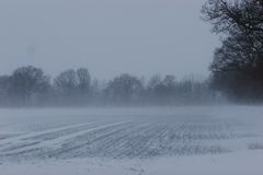 Schleswig Holstein-Winter"wonder"land No.2