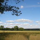 Schleswig-Holsteiner Wetter