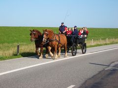 Schleswiger am Deich