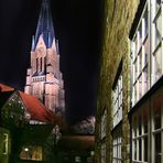 Schleswiger Dom