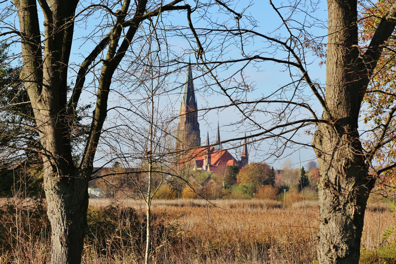 Schleswiger Dom im alten Kleid