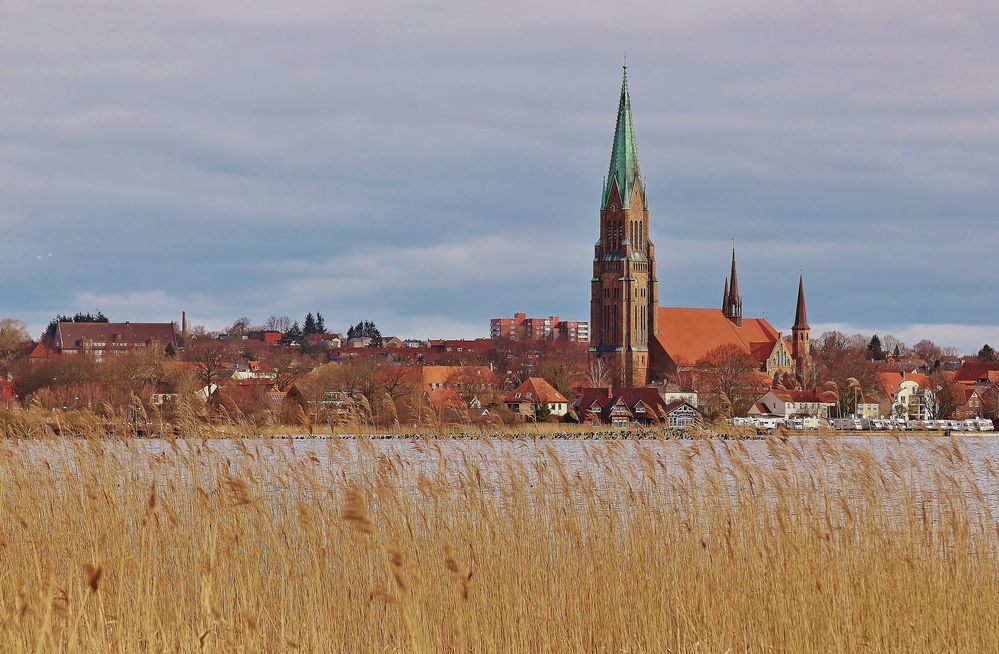 Schleswiger Dom mit Möweninsel