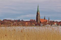 Schleswiger Dom mit Möweninsel