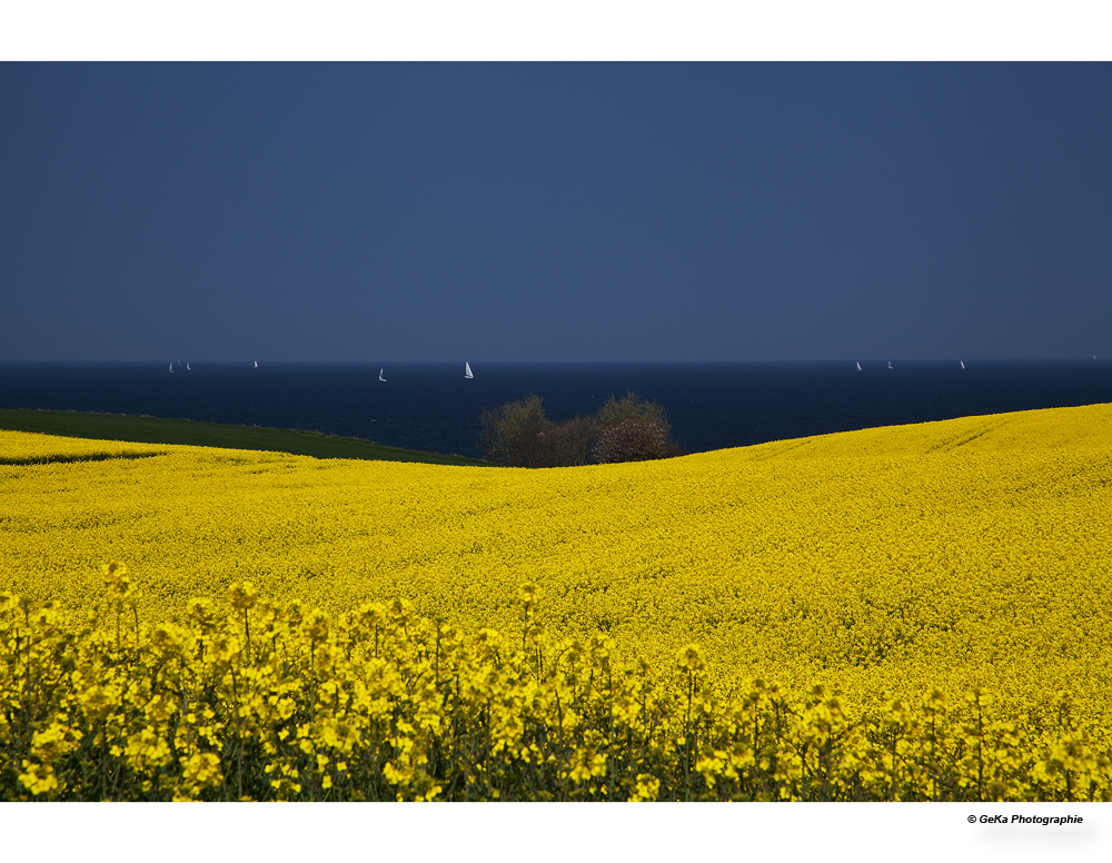 Schleswigholsteinfrühlingsfotoklassiker