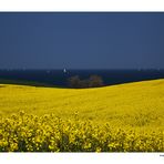 Schleswigholsteinfrühlingsfotoklassiker