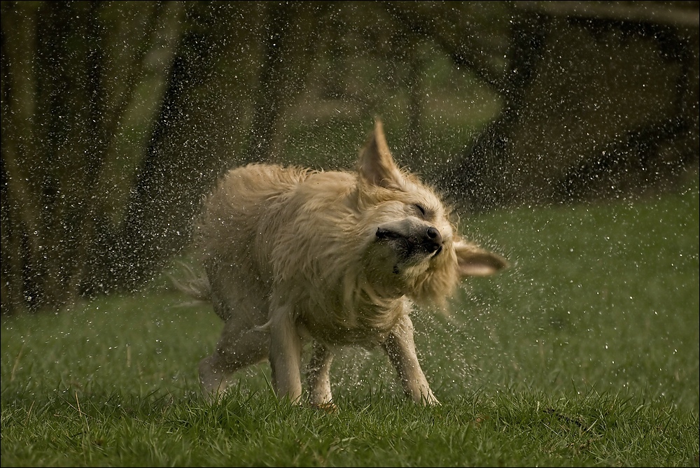 Schleudergang