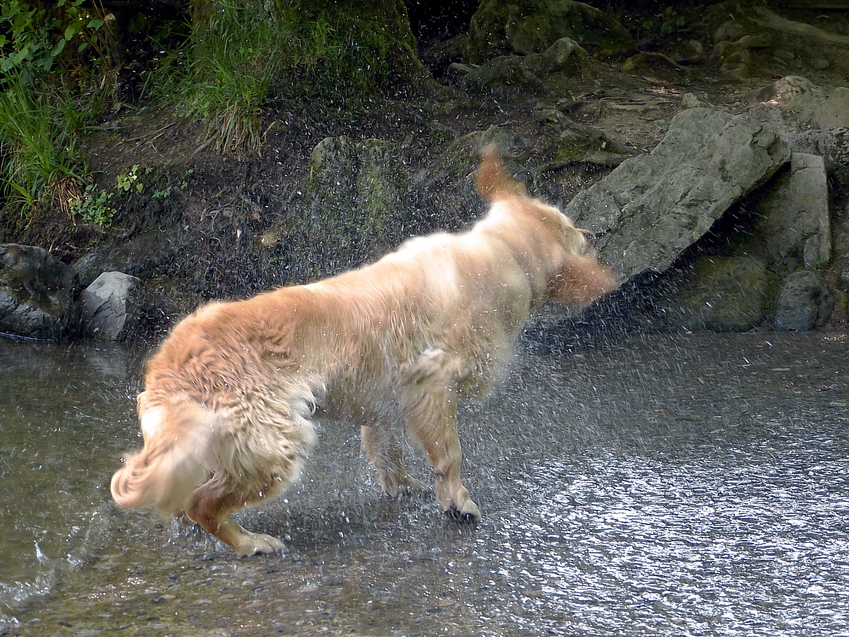 Schleudergang