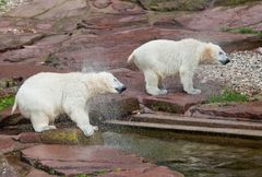 Schleudergang im Doppelpack