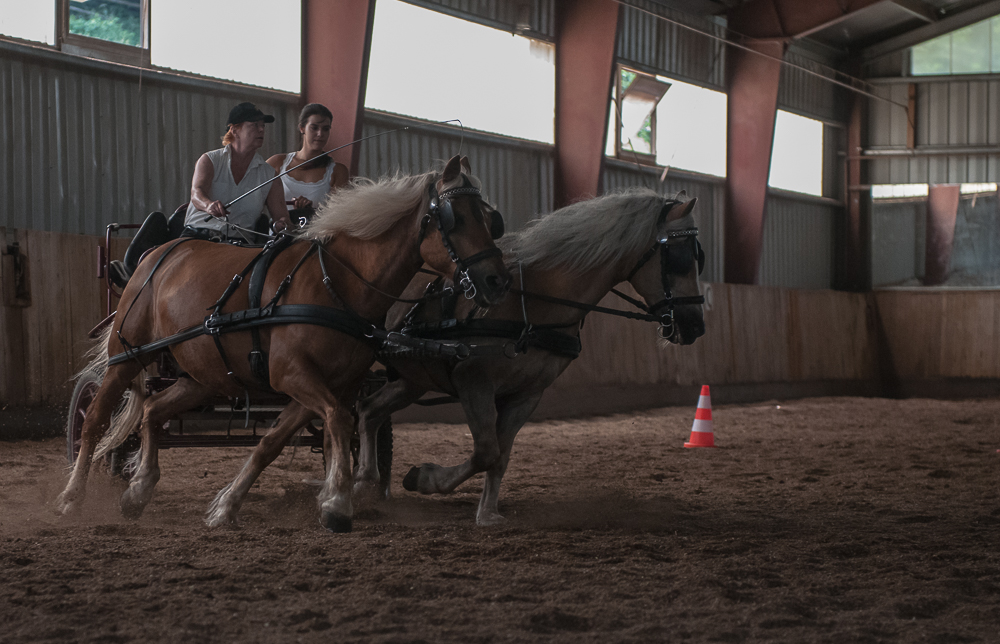 Schleudertraining