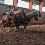 Schleudertraining  - verbessert