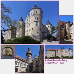 Schleusingen · Bertholdsburg