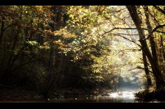 Schlichemklamm im Herbst II