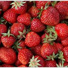 Schlicht und ergreifend - Erdbeeren