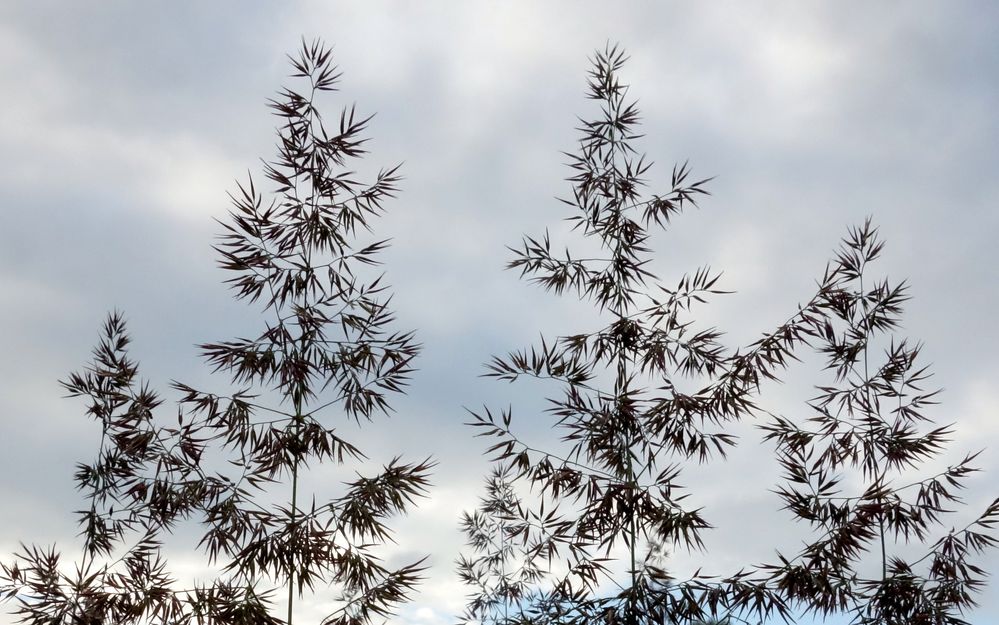 schlichte Naturschönheiten