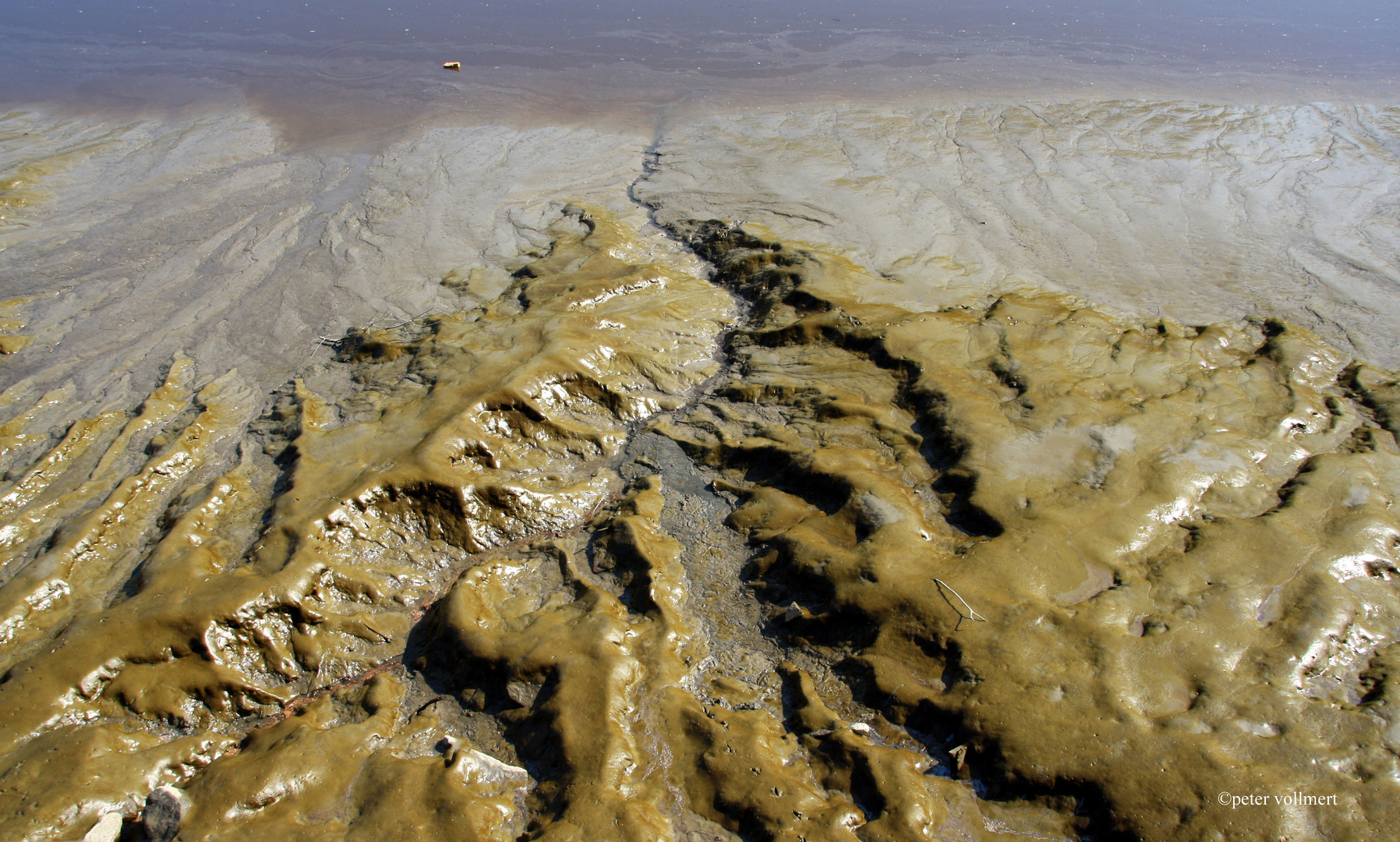 Schlicklandschaft an der Geeste