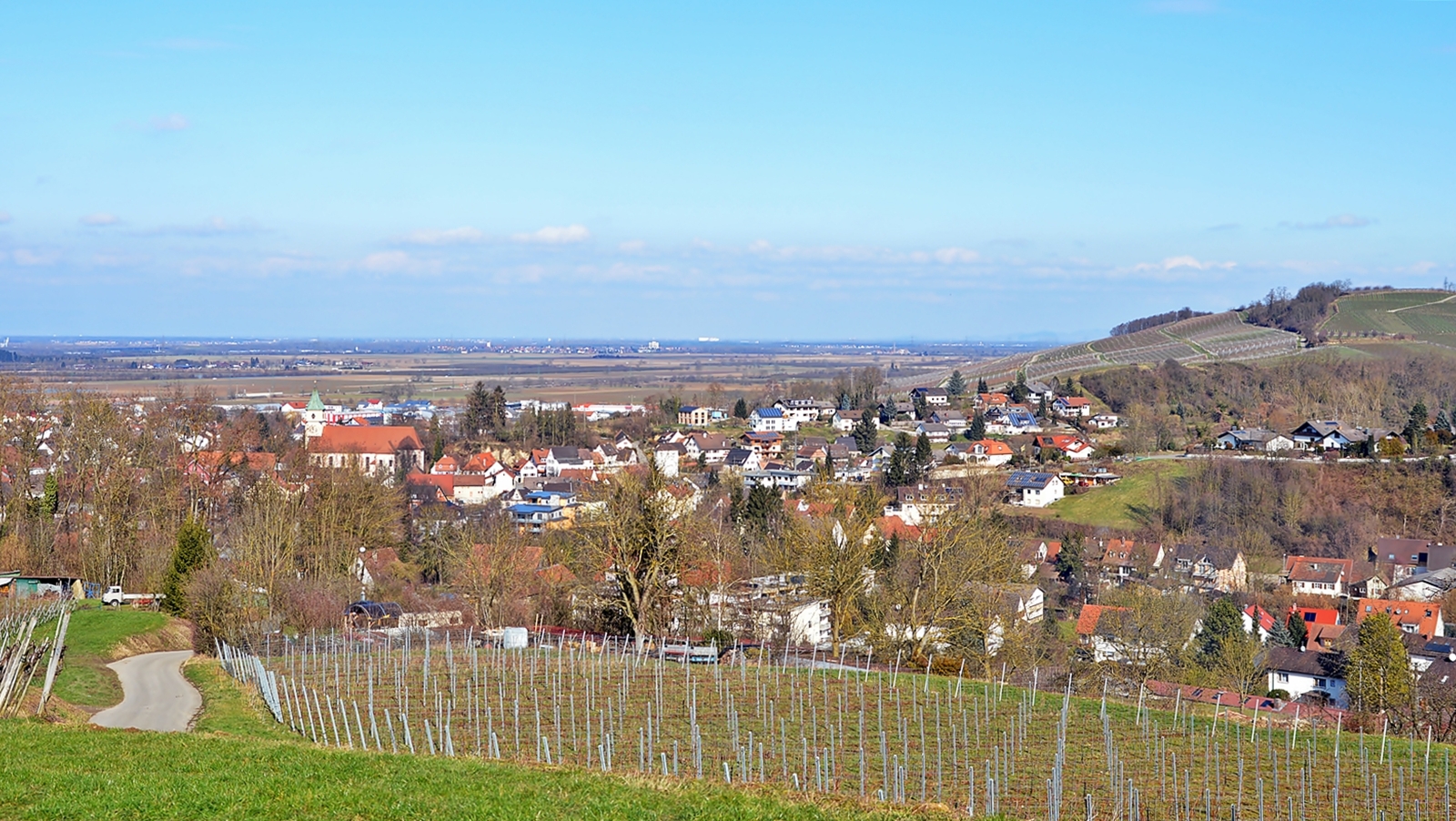 Schliengen ~~~ Panoramablick