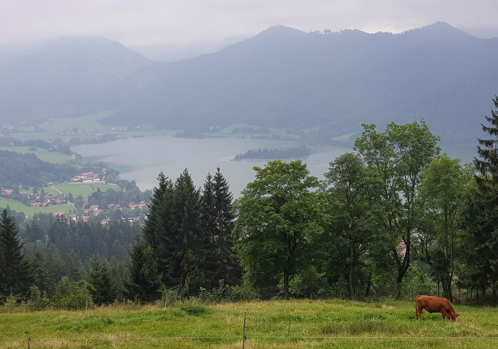 Schliersbergalm-Seeblick