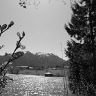 Schliersee 1955