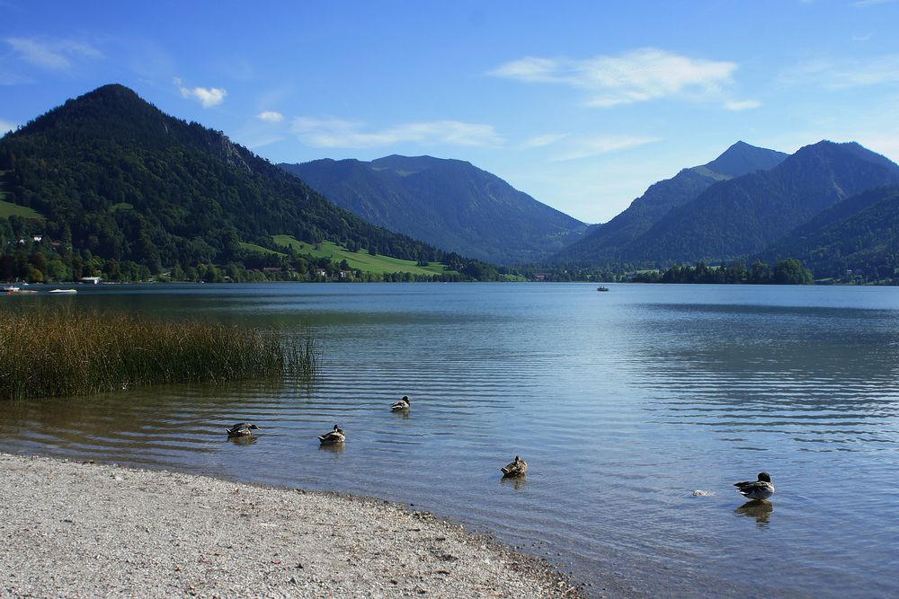 Schliersee