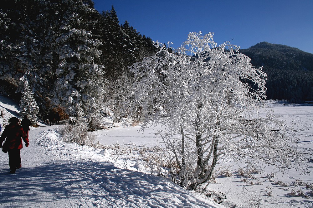 Schliersee 4