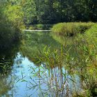 Schliersee-Auslauf in die Schlierach!