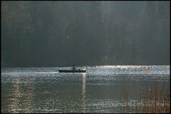 Schliersee, Fischer