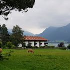 Schliersee-Idylle