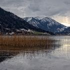 ***Schliersee II.***