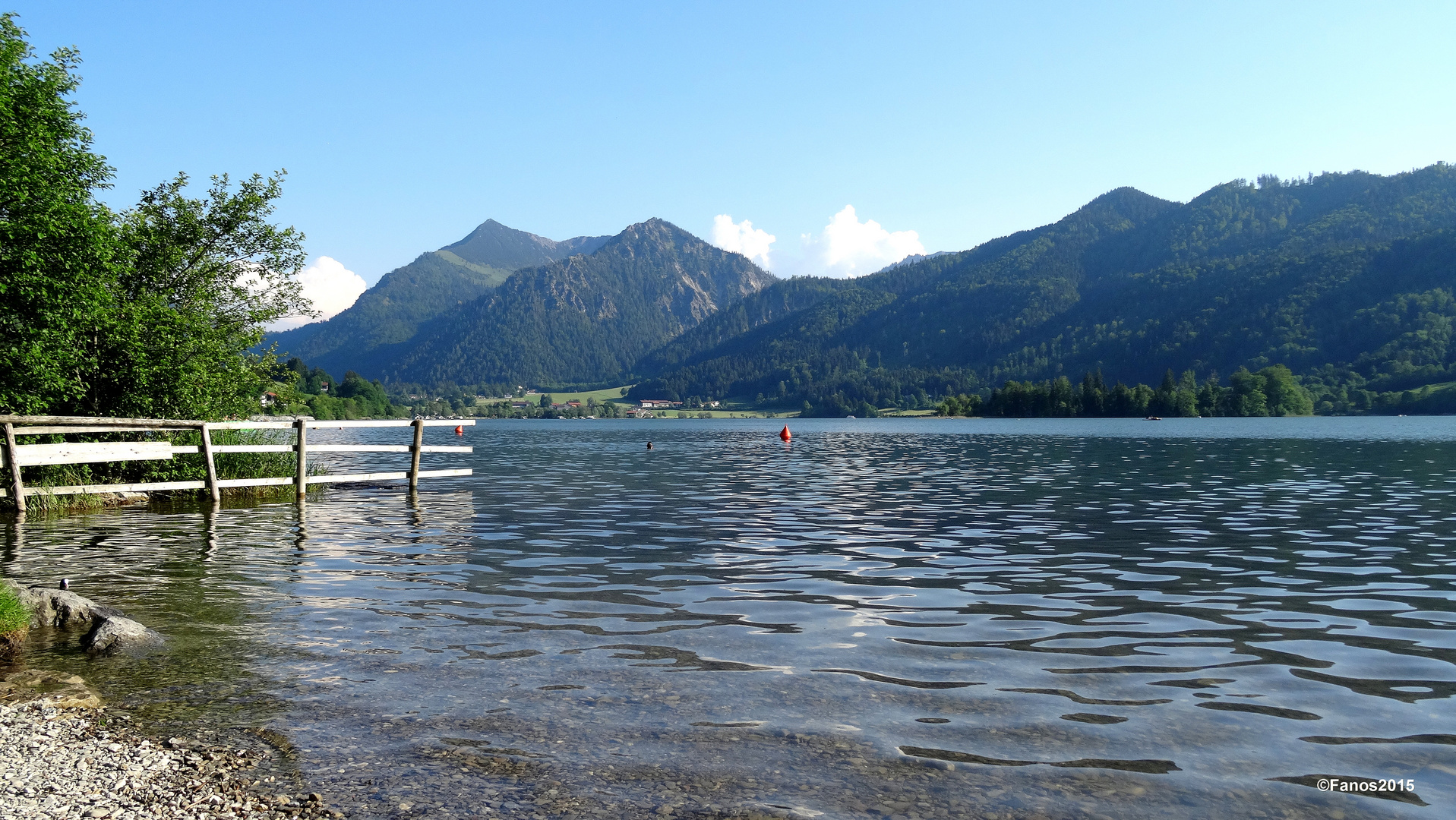 Schliersee sauschee