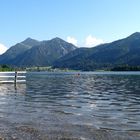 Schliersee sauschee