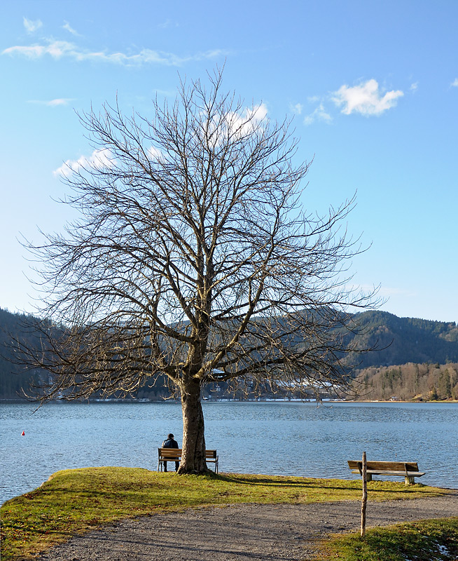 ***Schliersee VII.***