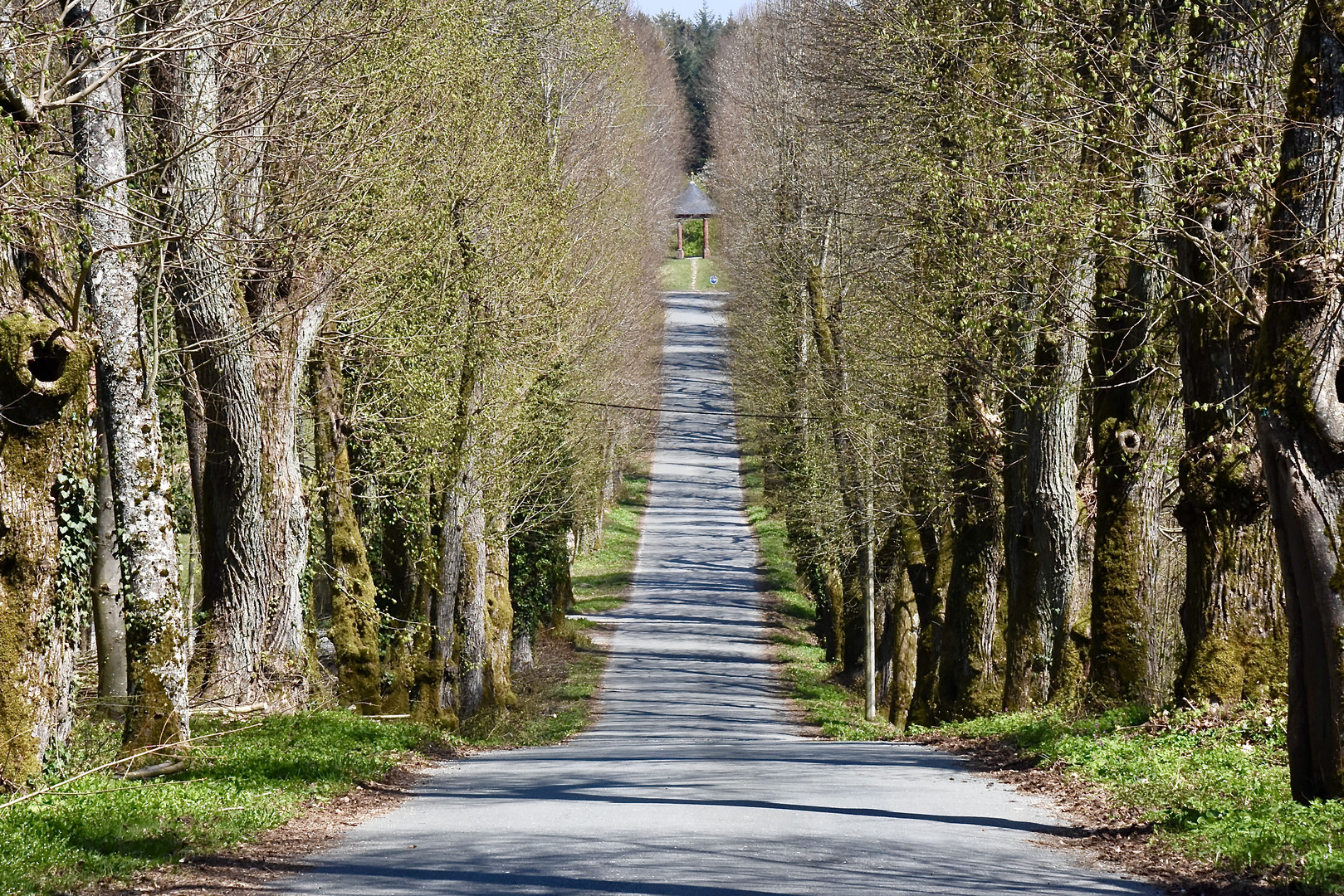 Schließlich der Weg ist das Ziel 