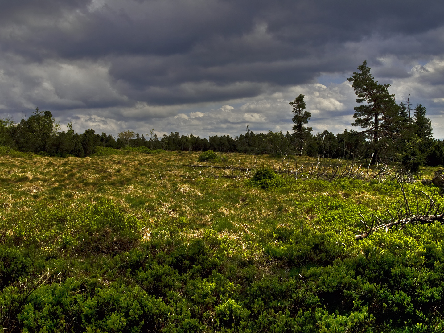 Schliffkopf in rainy spring