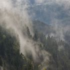 Schliffkopf, Schwarzwald im Nebel 3