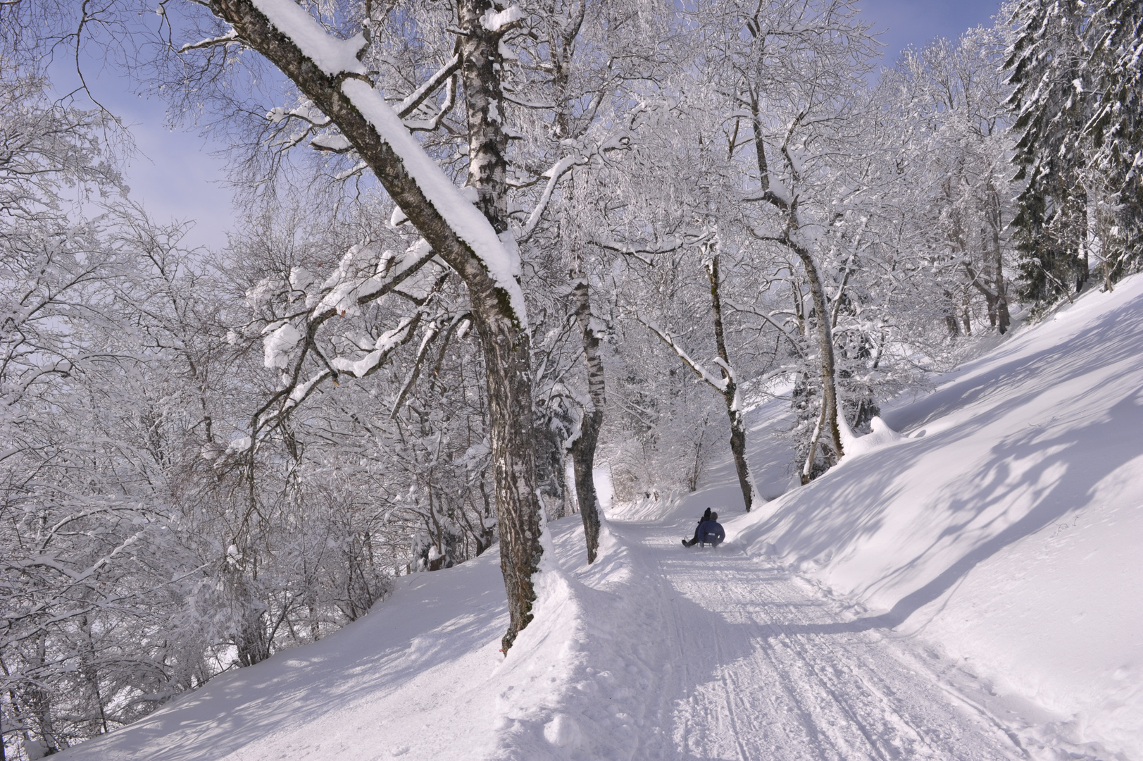 Schlittel Spass am Bachtel