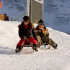 Schlitteln am Lauberhorn