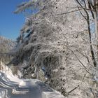 Schlittenbahn