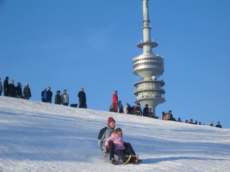 Schlittenfahren in München