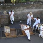 Schlittenfahrer im Sommer - wir warten auf Euch!