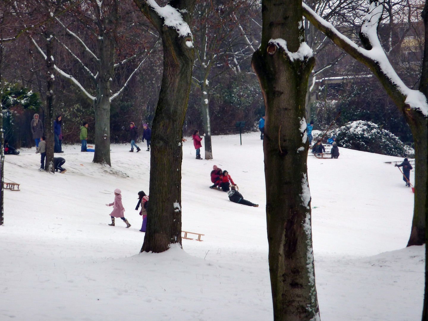 Schlittenfahrt Foto & Bild szene, schnee, winter Bilder auf