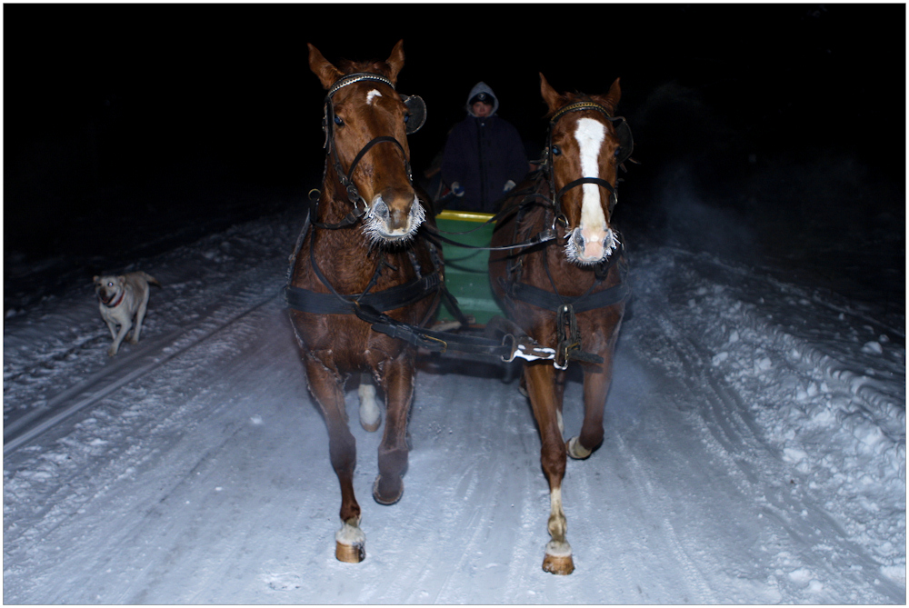 Schlittenfahrt bei -18°C