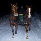 Schlittenfahrt bei -18°C