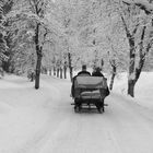 Schlittenfahrt im allgäuer Winter