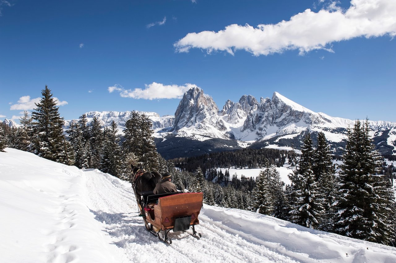 Schlittenfahrt in den Dolomiten