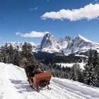 Schlittenfahrt in den Dolomiten