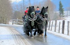 Schlittenfahrt ohne Schnee