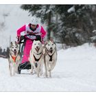 Schlittenhunde Rennen Todtmoos 2019